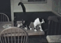 2013021619255470774.gif