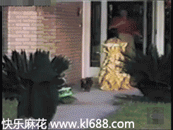 2013100813331249101.gif