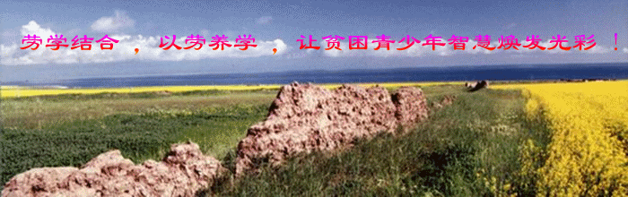 劳学结合以劳养学.gif