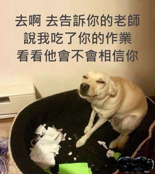 t01c8c2bceffd184189.jpg