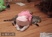 psb (6).gif