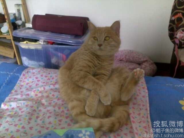 056肚子疼.jpg