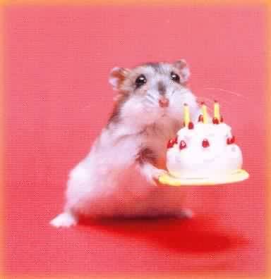 069生日蛋糕a73449266.jpg