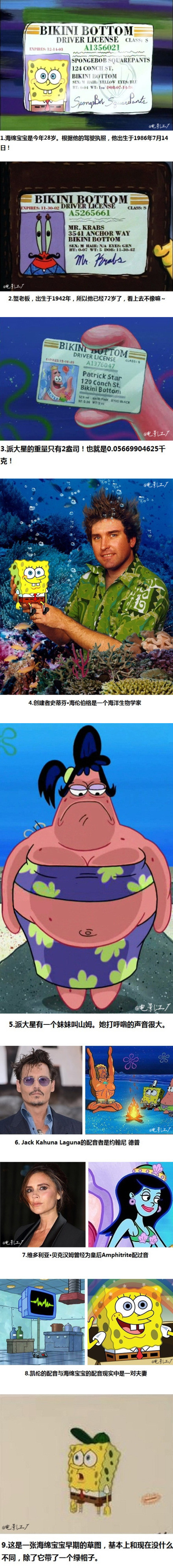 海绵宝宝.jpg