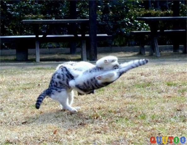 095背口袋.jpg