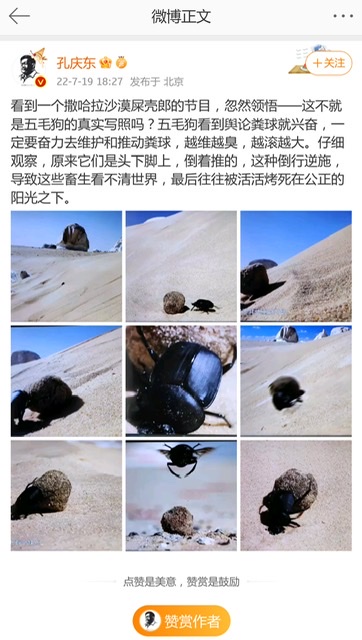 5A358BDF-8DAD-4A53-B03D-BB86946B6724.jpeg